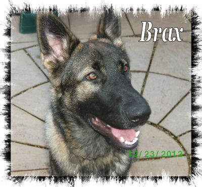 Brax