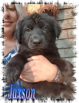 Jaxson