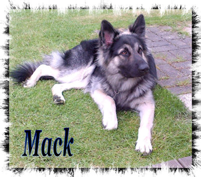 Mack
