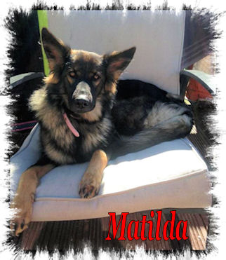 Matilda