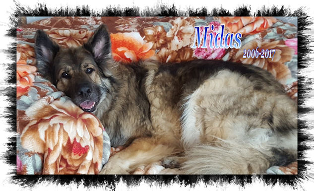 Midas at 10