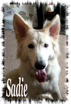 Sadie