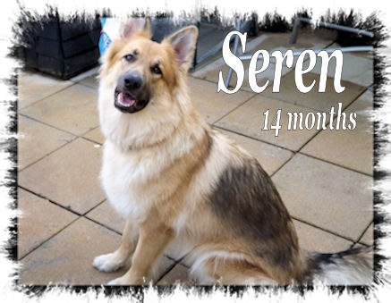 Seren4months