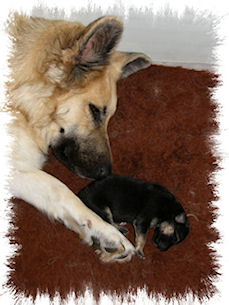 Taylor & Baby