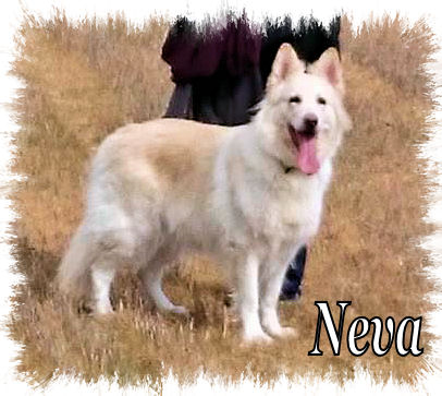 Neva